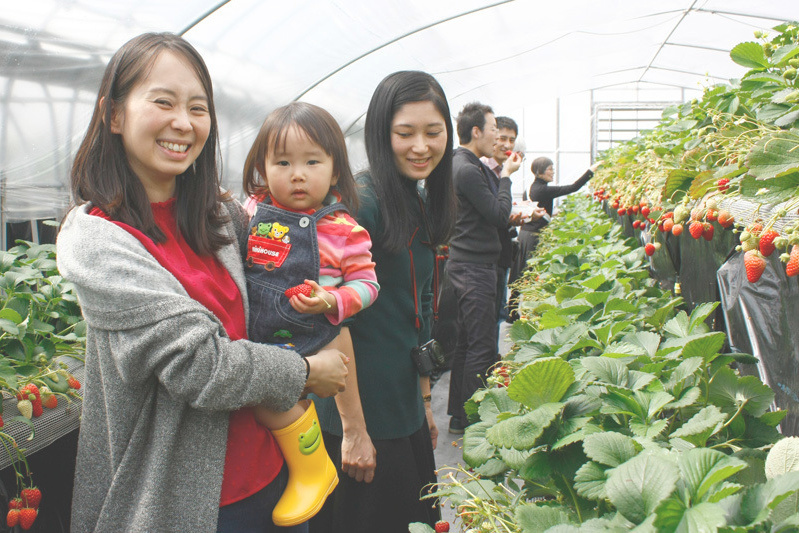 全部の品種を食べられましたか？