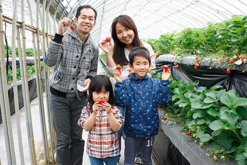 おいしい黒苺ゲットですね