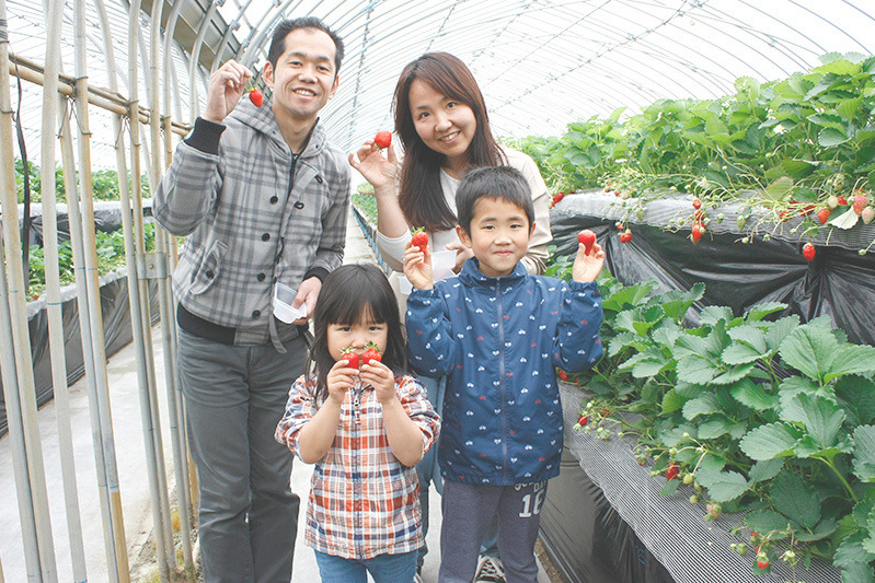 おいしい黒苺ゲットですね