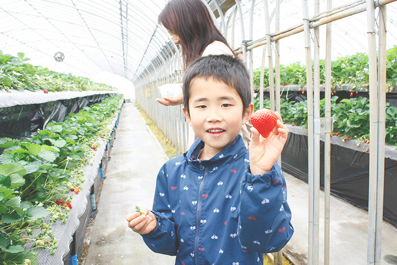 摘んでからベンチで食べるのもいいね
