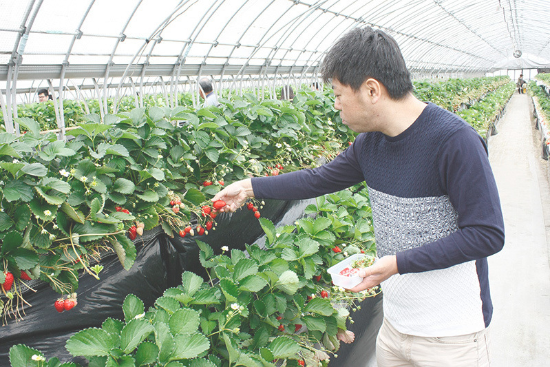 苺がお口いっぱいだね