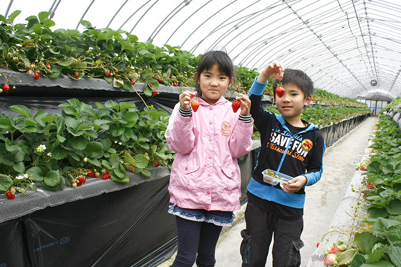 全部の品種を食べられましたか？