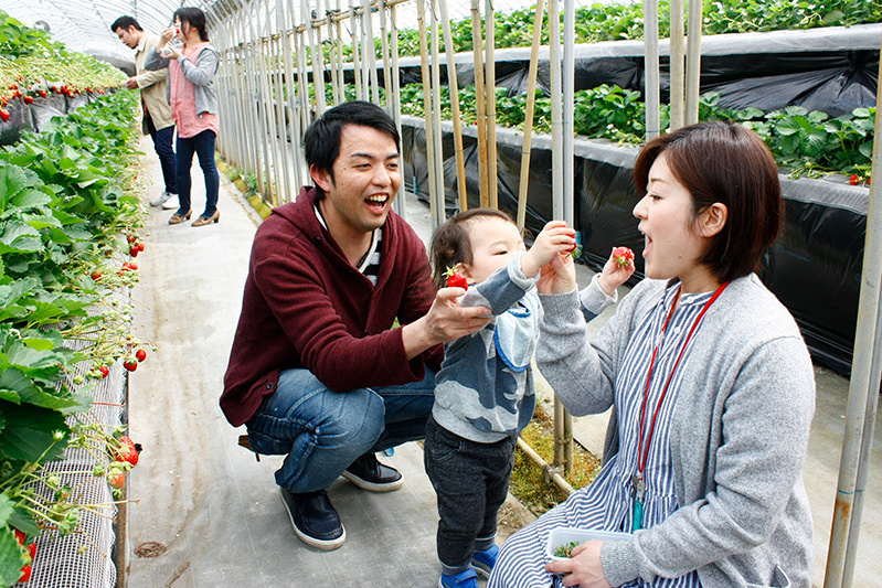 全部の品種を食べられましたか？