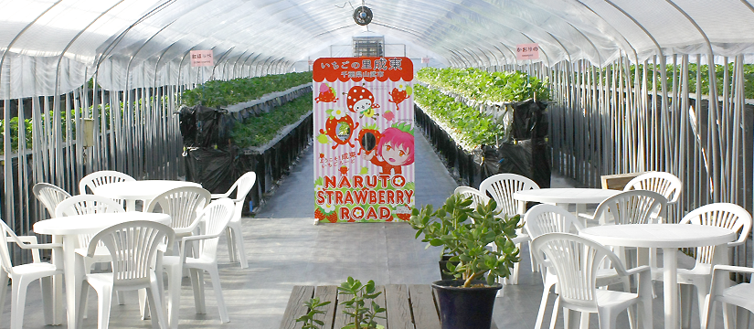 ◎座って苺が食べられる休憩スペースをご用意