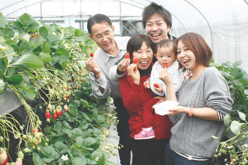 新種の恋みのり