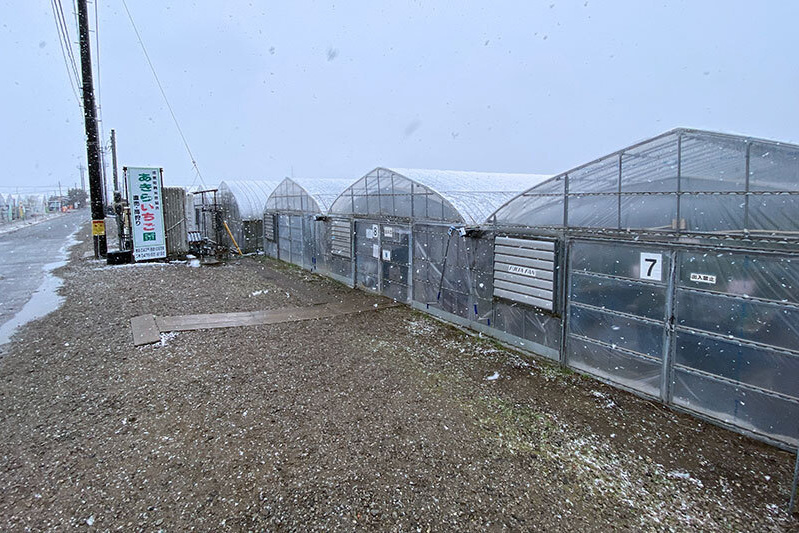 道路にはこれから積もりそう