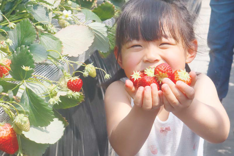 道路にはこれから積もりそう