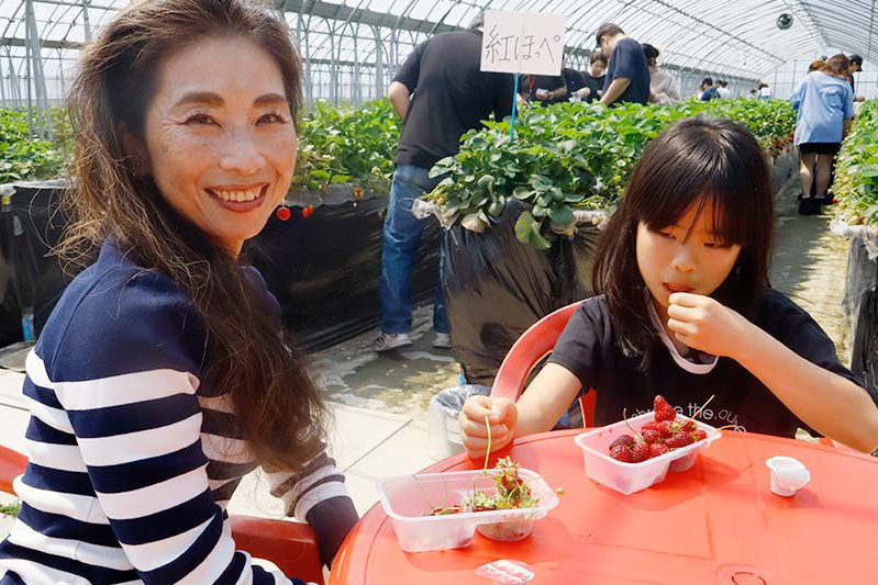 苺狩りはほっぺたが緩みますね