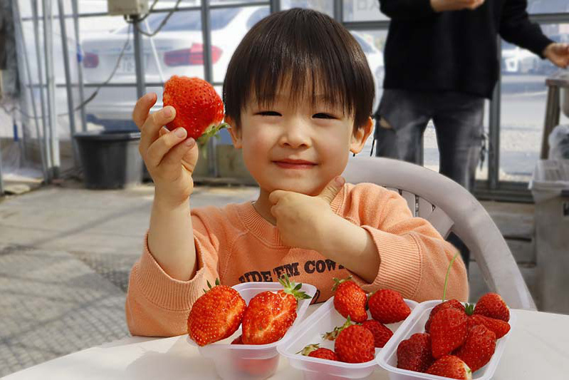 ウキウキとっても楽しそう