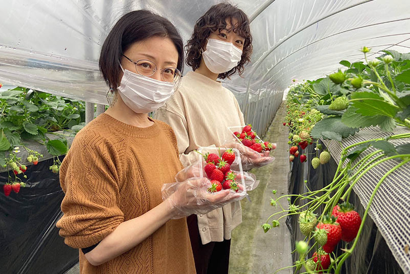 苺ニュース2021 | あきらいちご園