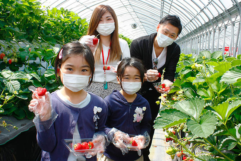 苺ニュース2021 | あきらいちご園