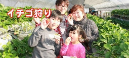 イチゴ狩り