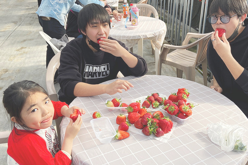 あきらいちご園苺狩り4月