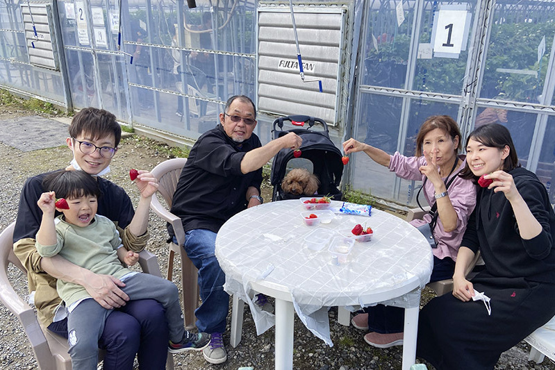あきらいちご園苺狩り4月