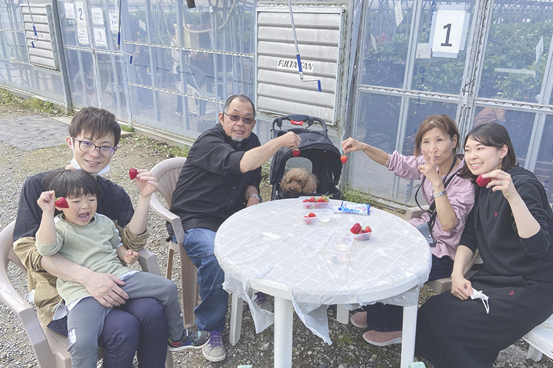 あきらいちご園苺狩り4月