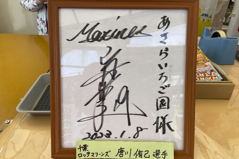 あきらいちご園苺狩り4月